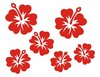 Hawaii Blume (032) Bügelbild Aufbügler Applikation