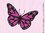 Schmetterling (794) Bügelbild Aufbügler Textiltransfer